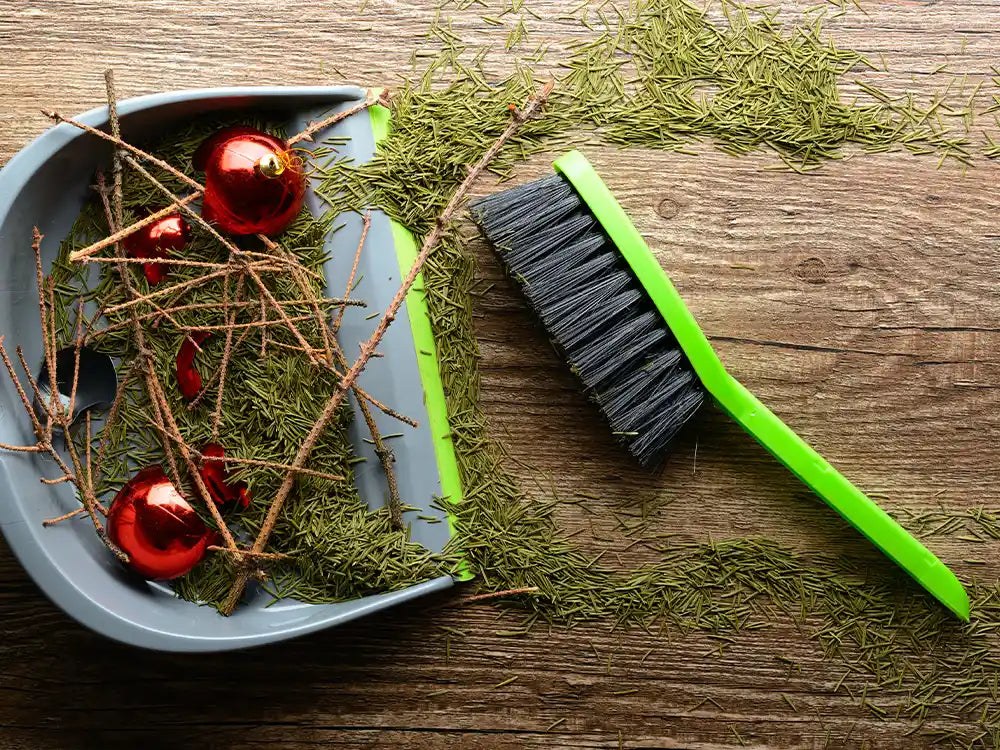 Vacmaster_Christmas_Cleaning_tips_Dustpan