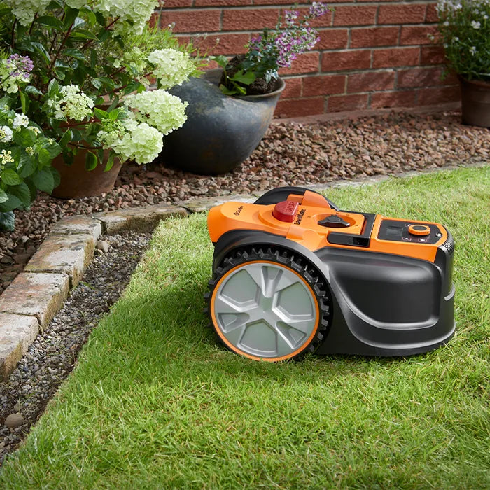 Lawnmaster AMB16-600 robot on lawn with defined edges
