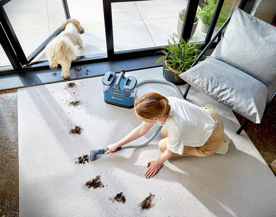 Vacmaster EasyClean Up Carpet Cleaner on a UK Rug