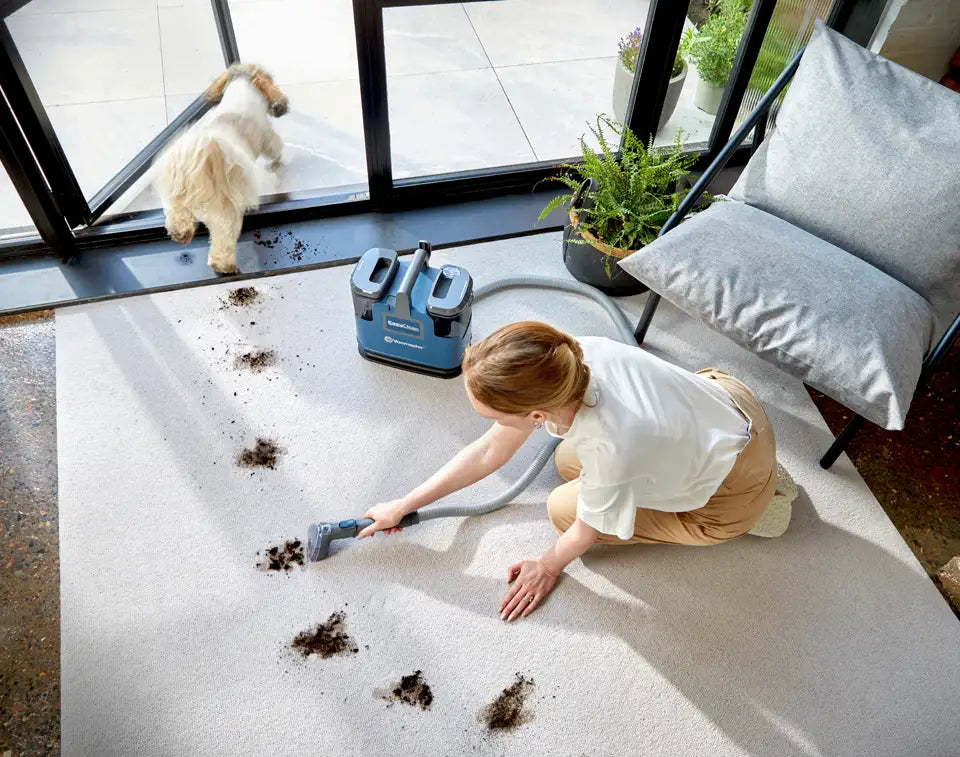 Vacmaster EasyClean Up Carpet Cleaner on a UK Rug