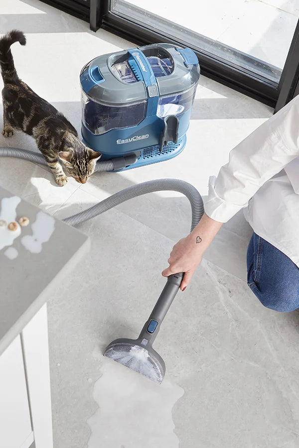 Vacmaster carpet cleaner cleaning up pet mess in UK home