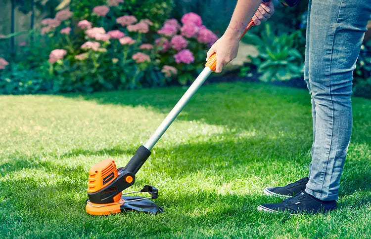 Grass and Hedge Trimmers LawnMaster Cleva