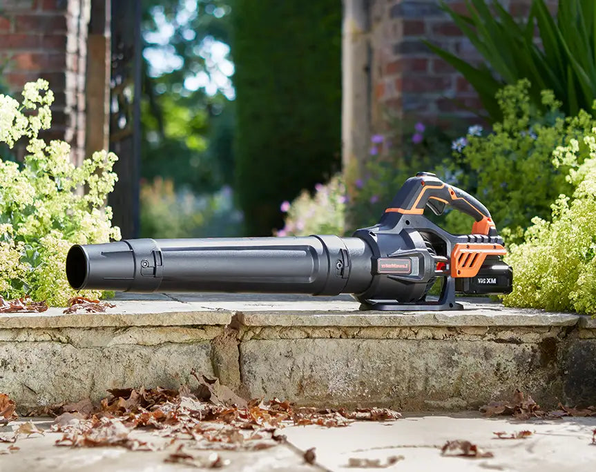 LawnMaster MX 24V Axial Leaf Blower