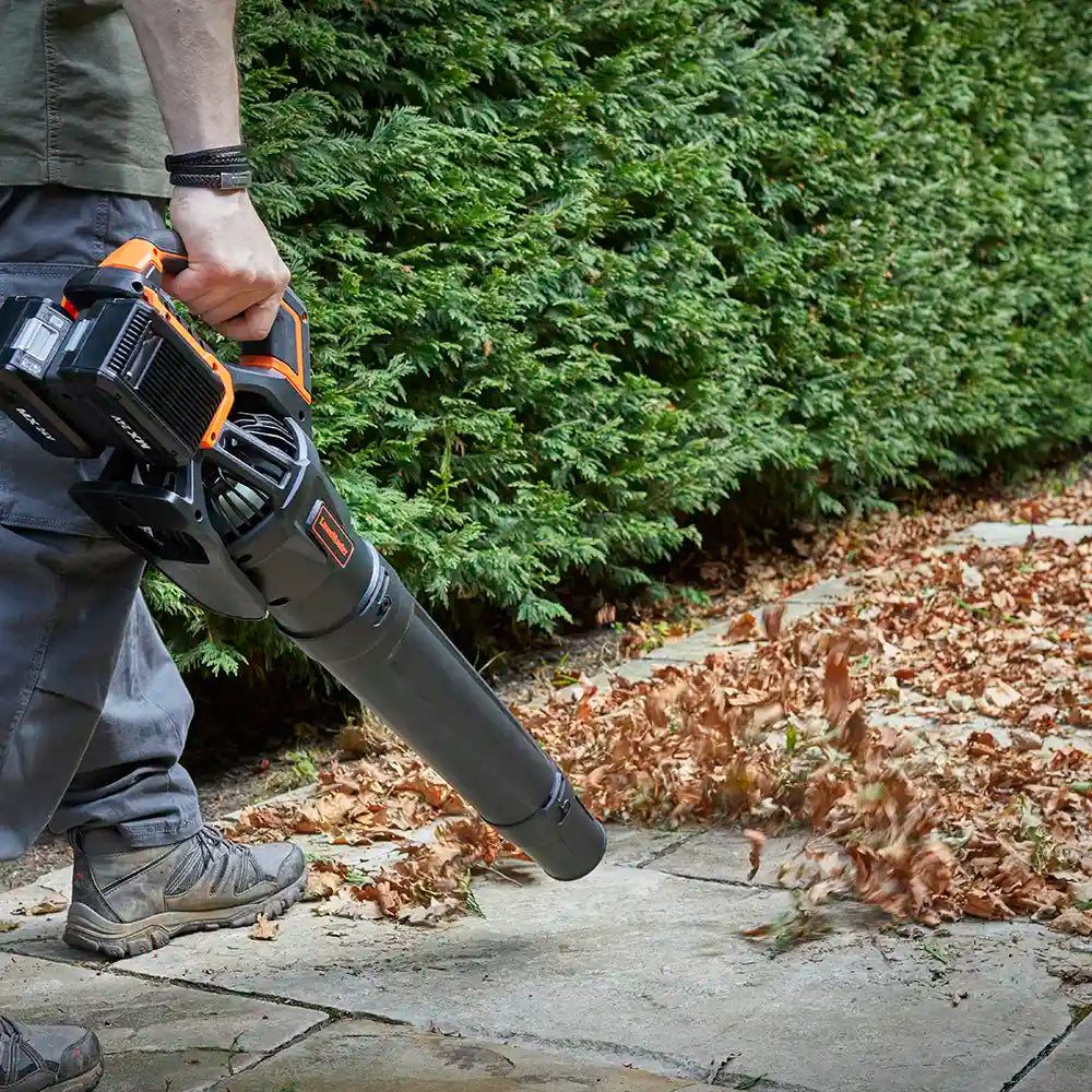 LawnMaster 48V Cordless - blowing leaves