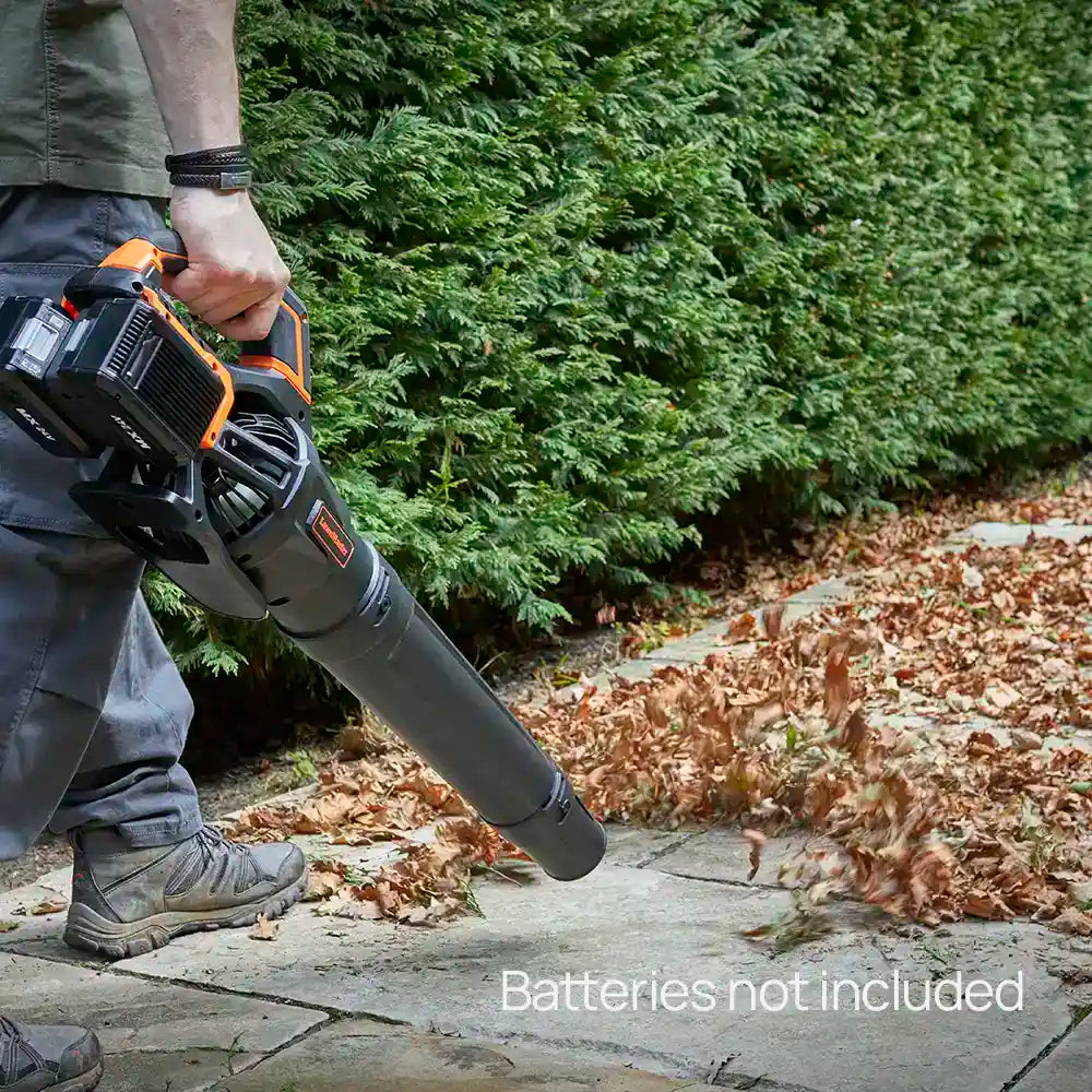 LawnMaster 48V Cordless Axial Blower