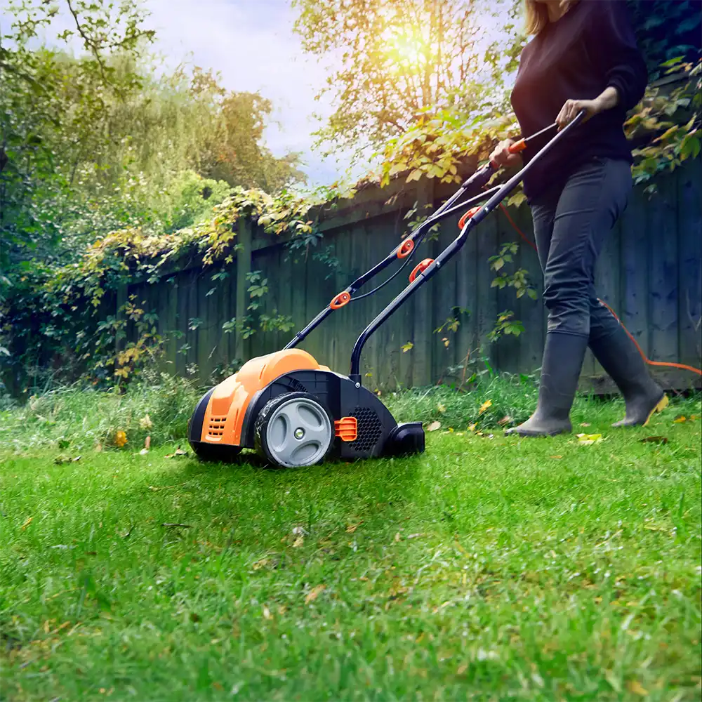 Mechanical lawn scarifier discount
