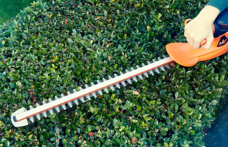 LawnMaster hedgecare
