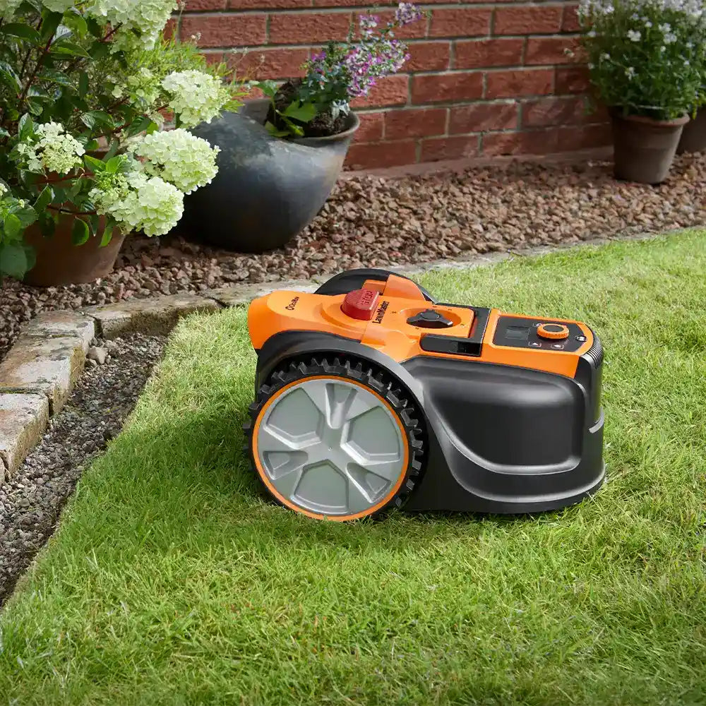 Robot Lawn Mower AMB16i-600 on lawn with clear border cutting in a random pattern