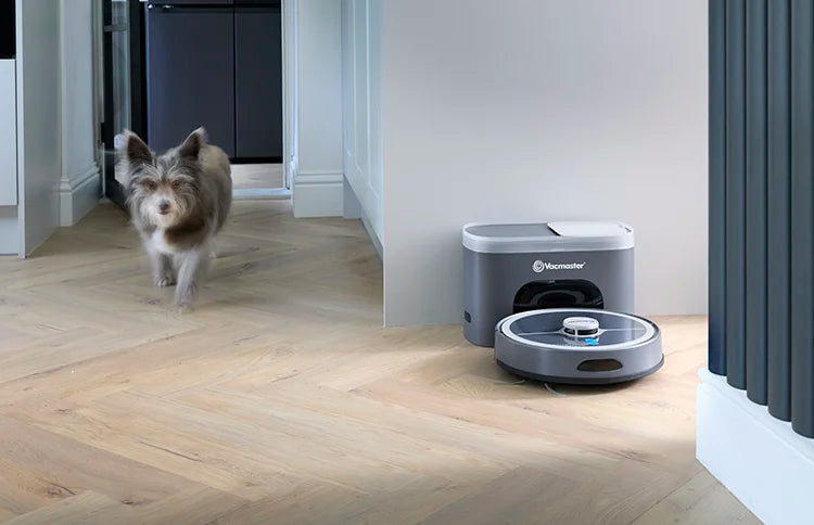 Robot vacuum cleaner from Vacmaster in kitchen with dog