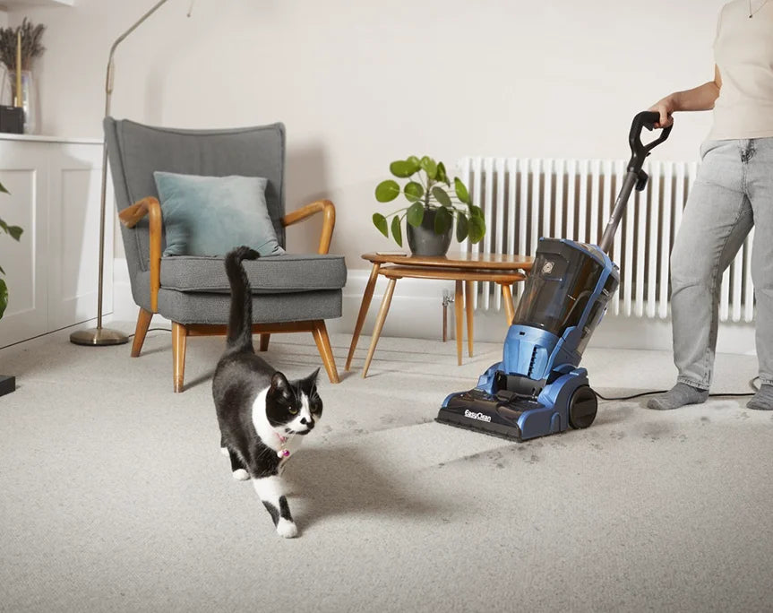 Pet Carpet Cleaner Vacmaster  EasyClean UCT Cleaning Pet Mess in Living Room CA0712UK