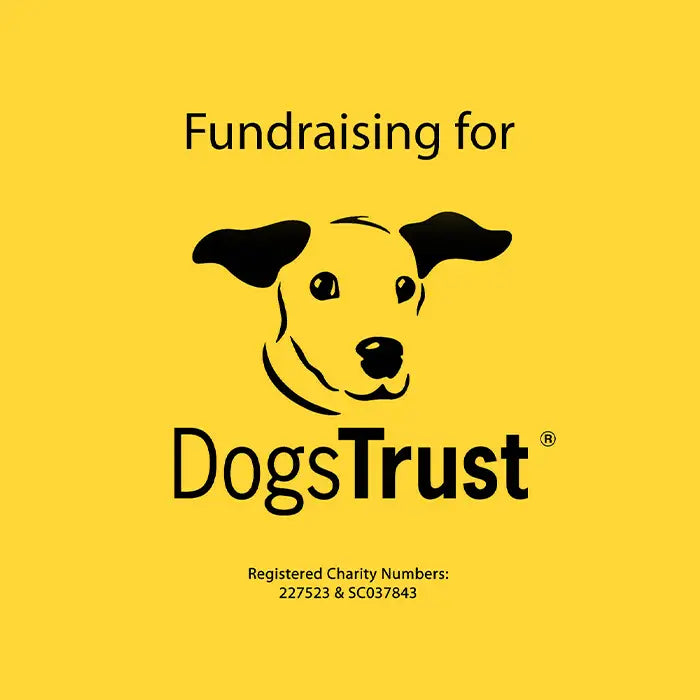 Vacmaster AllergenPro Dogs Trust Partnership